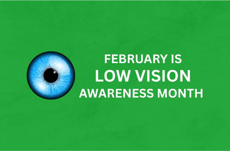 low vision awareness month - 3d vision eye hospital jaipur
